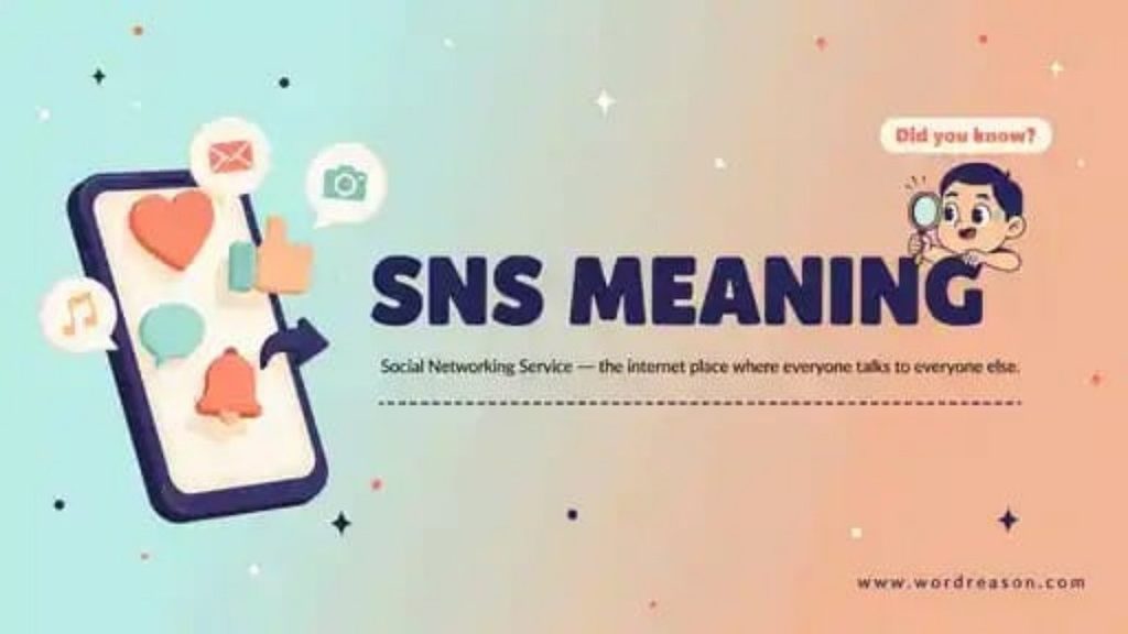 What Does SNS Stand For?