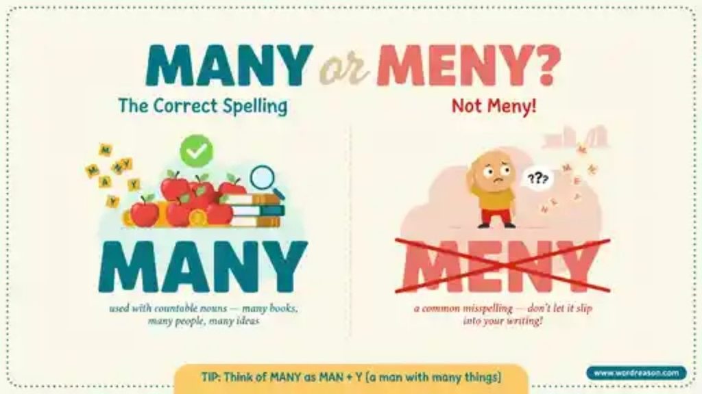 What Does Many Mean?