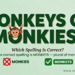 Monkeys or Monkies Which Spelling Is Correct?