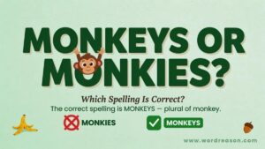 Monkeys or Monkies Which Spelling Is Correct?
