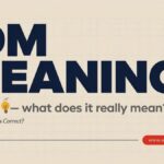 IDM Meaning in text what does it really mean?