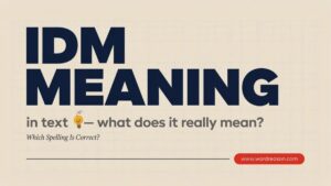 IDM Meaning in text what does it really mean?