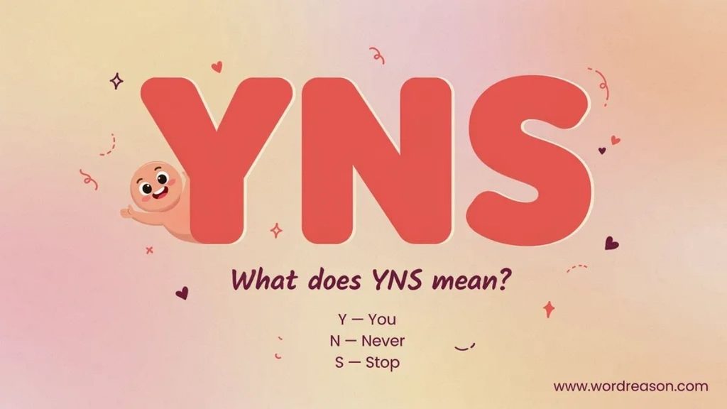 What Does YNS Mean in Texting and Slang?